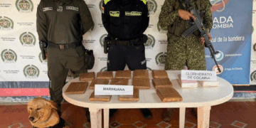 Policía nacional y Armada Nacional logran el hallazgo de estupefacientes en Providencia
