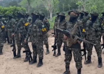 El poder criminal de las ACSN en Santa Marta: extorsión sistemática, homicidios y control de barrios donde el Estado no llega