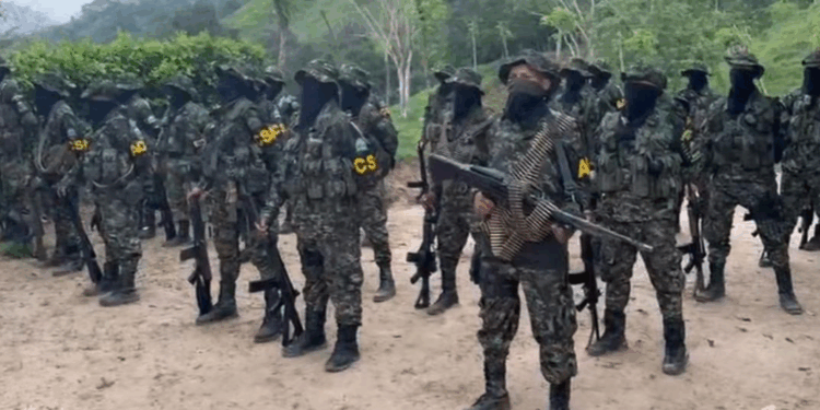 El poder criminal de las ACSN en Santa Marta: extorsión sistemática, homicidios y control de barrios donde el Estado no llega