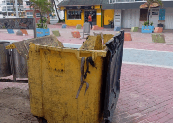 De la anarquía e incultura ciudadana a la tugurización de la peatonal